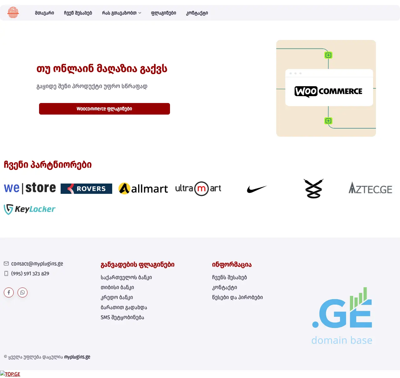 Screenshot of the site myplugins.ge