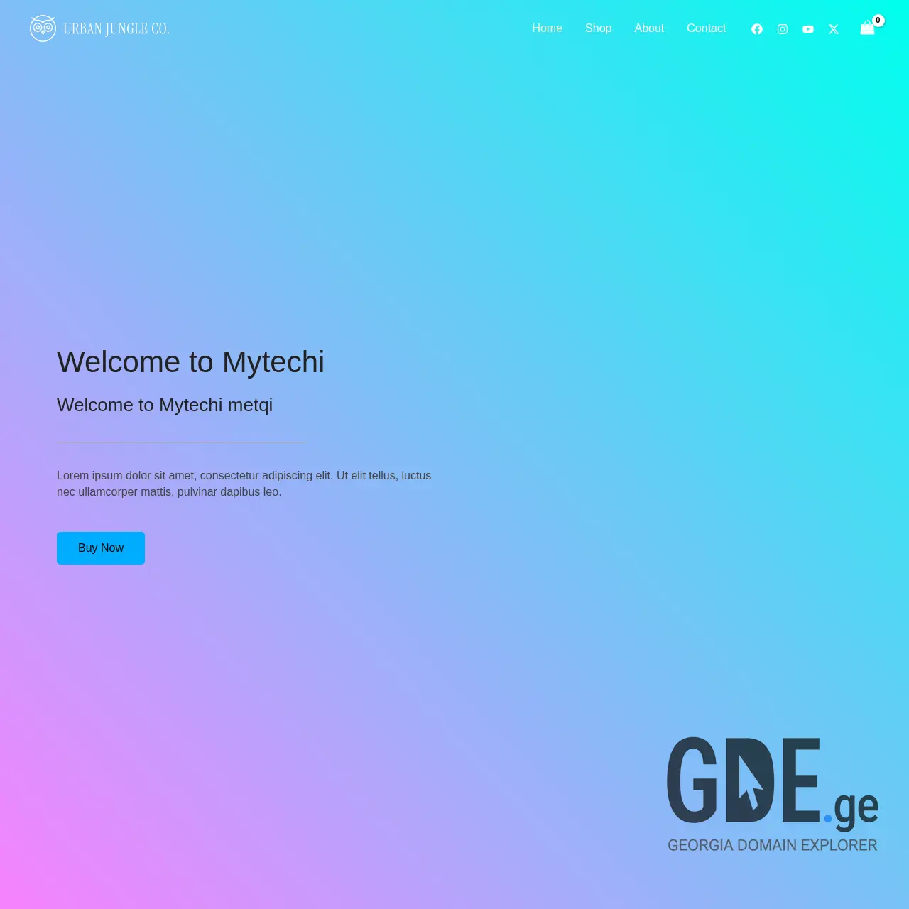 Screenshot of the site mytechi.ge at 2026-01-19