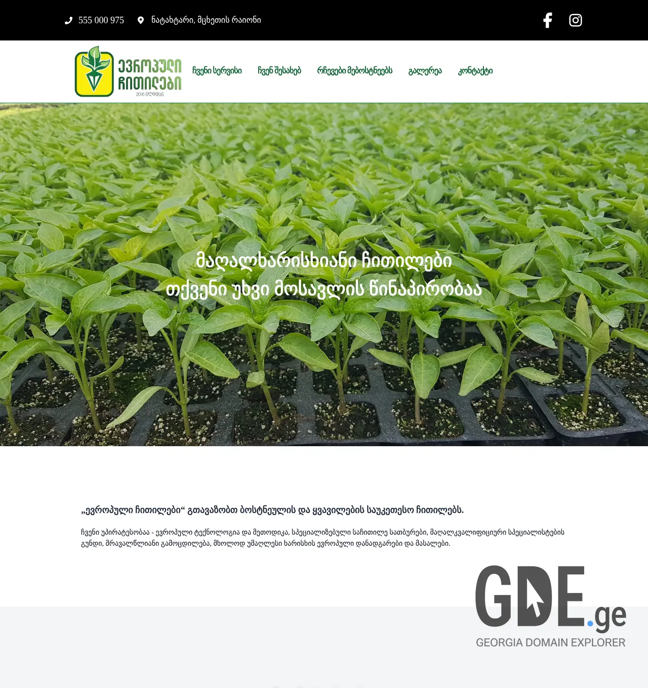 Screenshot of the site mzachitili.ge at 2025-11-29