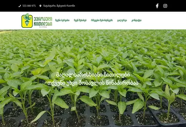 mzachitili.ge-ის ეკრანის სურათი