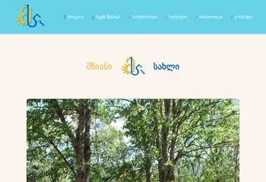 Screenshot of mziani.ge