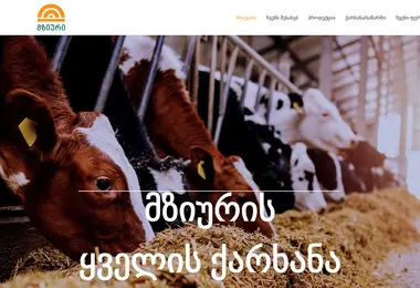 Предпросмотр от 12.12.2025