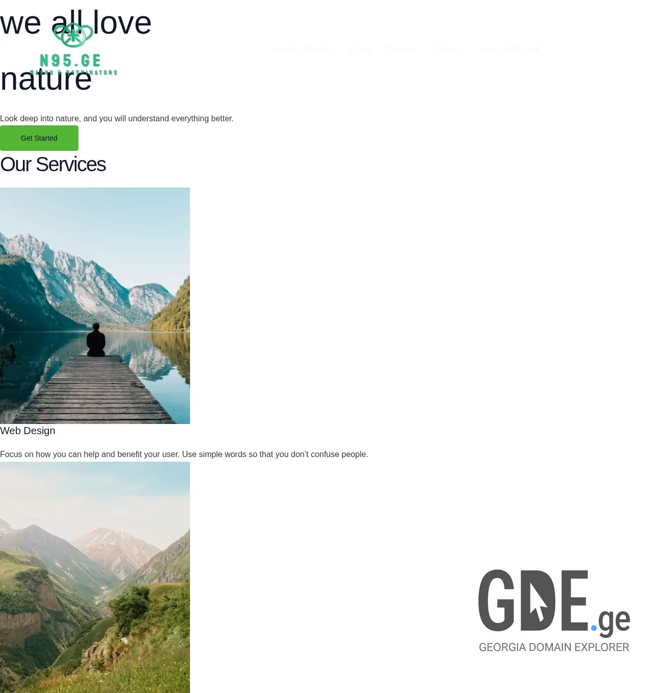 Screenshot of the site n95.ge at 2025-11-30