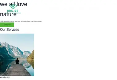 Screenshot of n95.ge