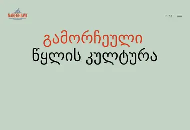 Screenshot of nabeghlavi.ge