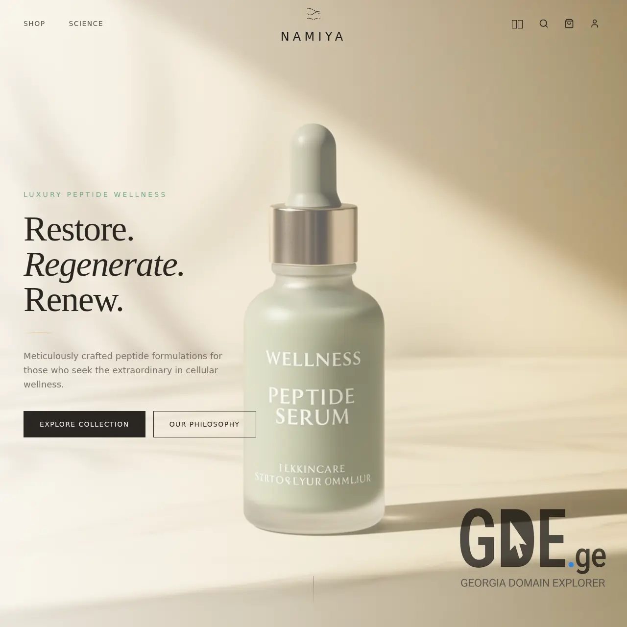 Screenshot of the site namiya.ge at 2026-01-30