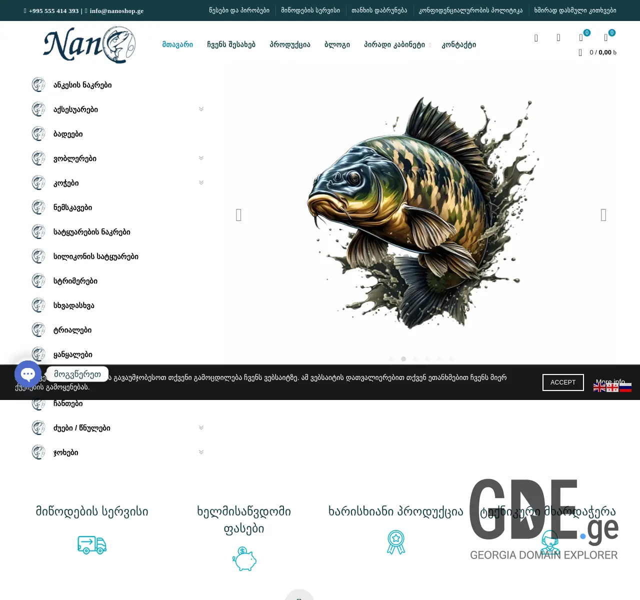 Screenshot of the site nanoshop.ge at 2025-11-26