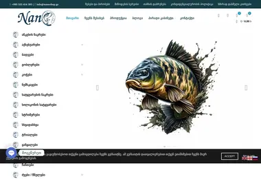 nanoshop.ge-ის ეკრანის სურათი