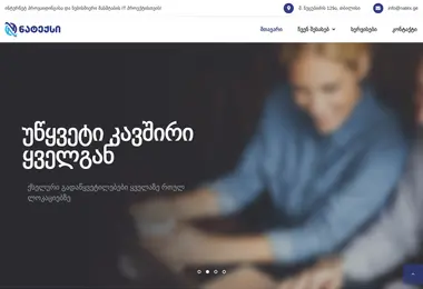 Screenshot of natex.ge