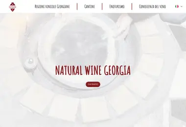 Screenshot of naturalwine.ge