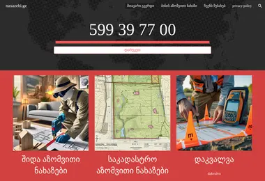 Screenshot of naxazebi.ge