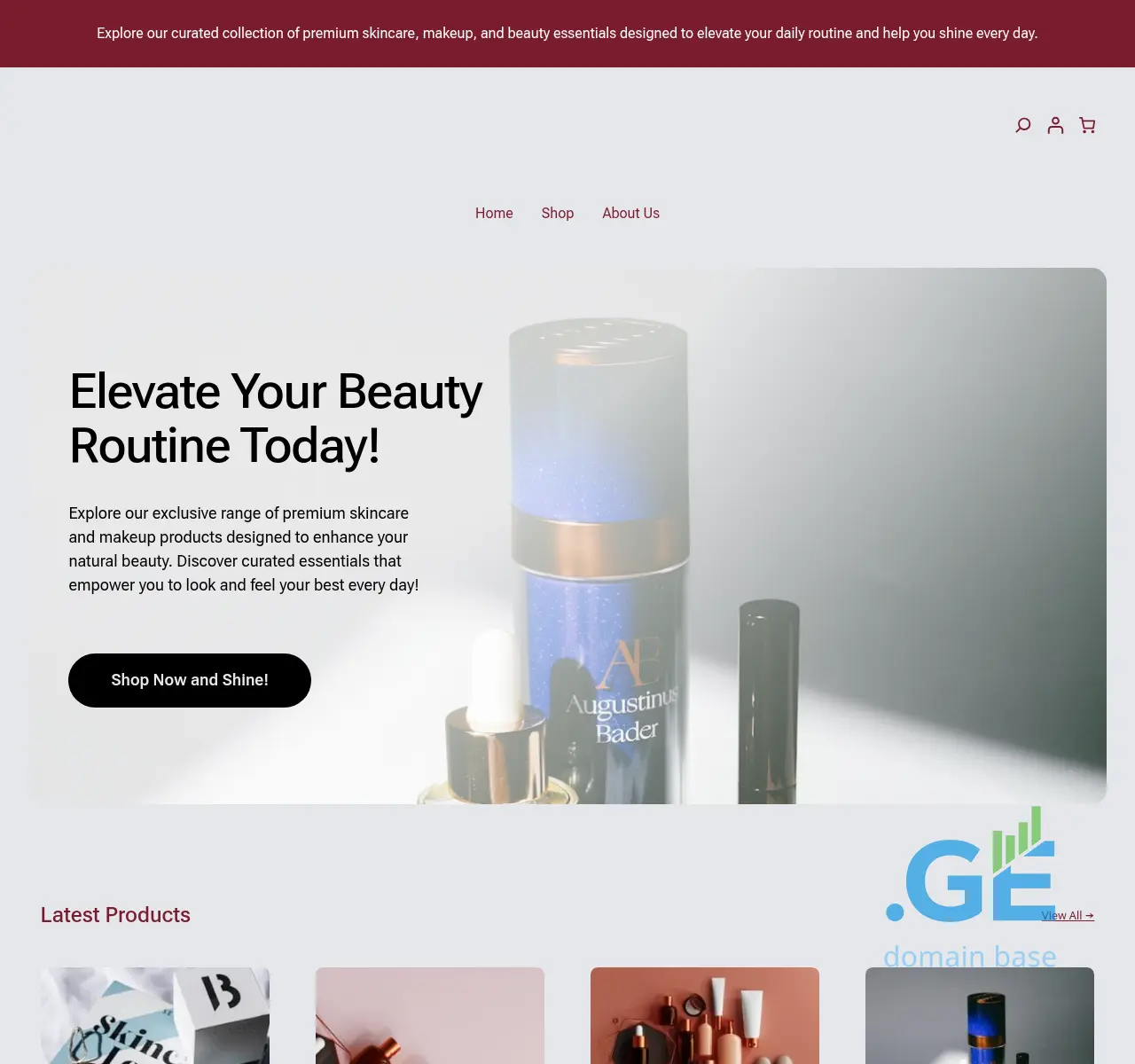 Screenshot of the site necessary.ge at 2025-11-15