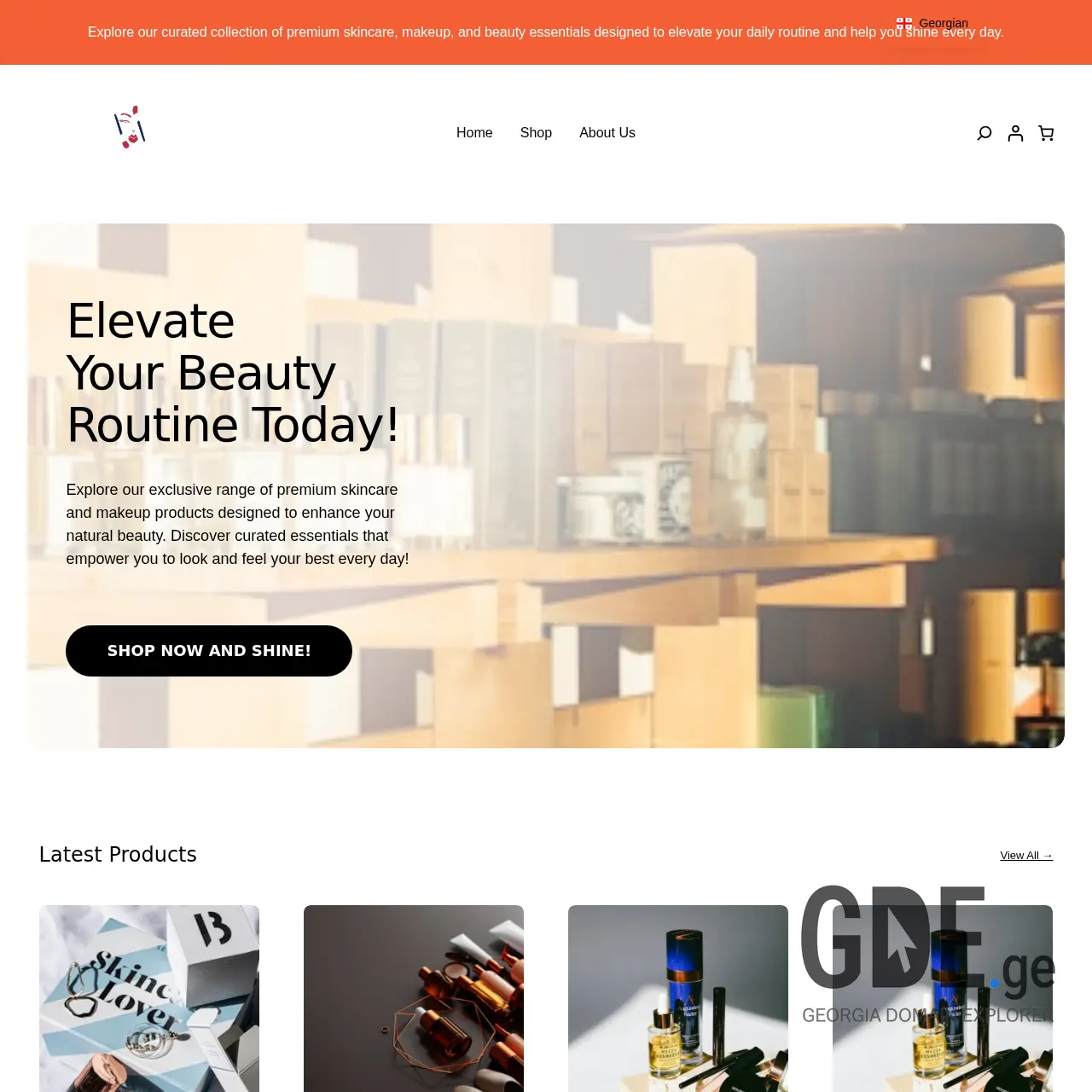 Screenshot of the site necessary.ge at 2025-12-15