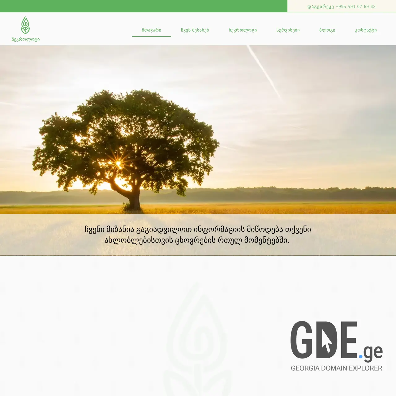 Screenshot of the site necrologi.ge at 2025-12-12