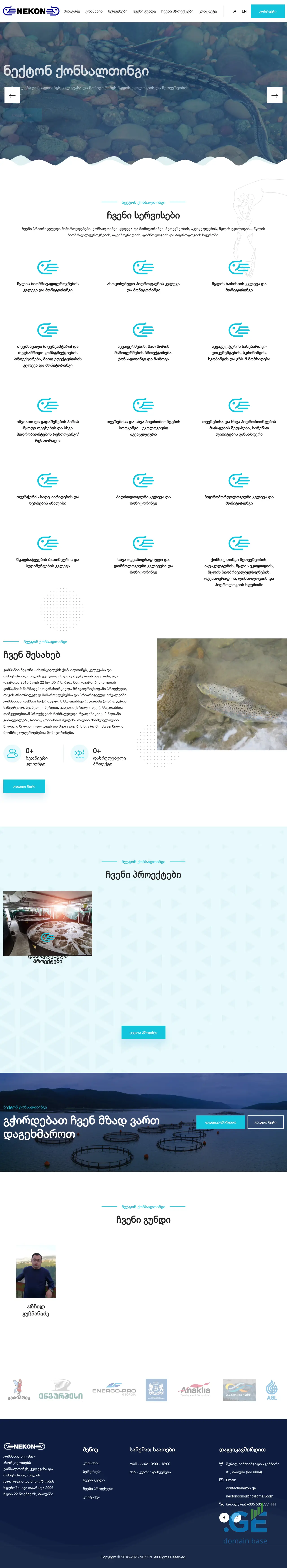 Screenshot of the site nekon.ge at 2025-10-10