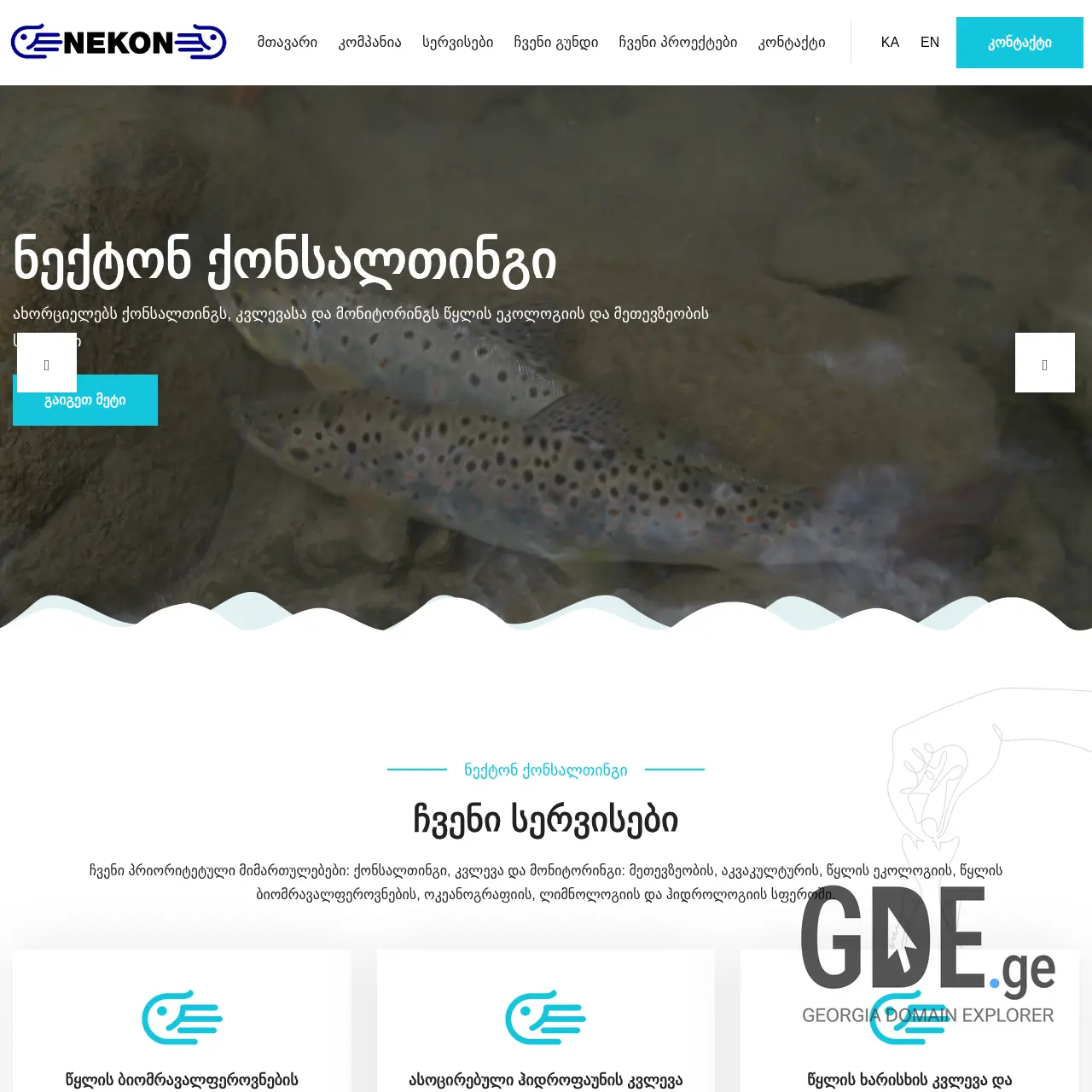 Screenshot of the site nekon.ge at 2025-12-12
