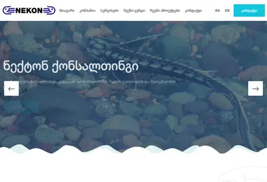 Screenshot of nekon.ge