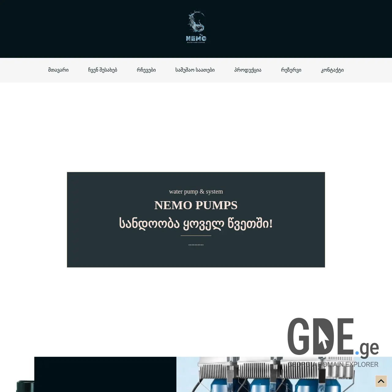 Screenshot of the site nemopumps.ge at 2025-12-11