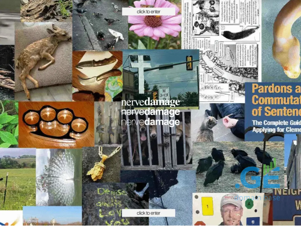 Screenshot of the site nervedama.ge