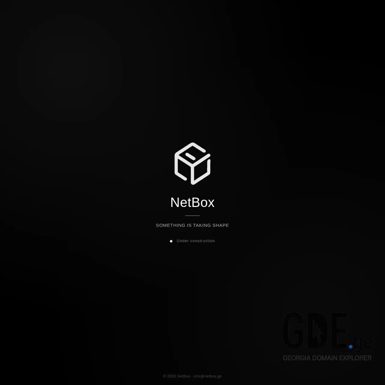 Screenshot of the site netbox.ge at 2026-01-27