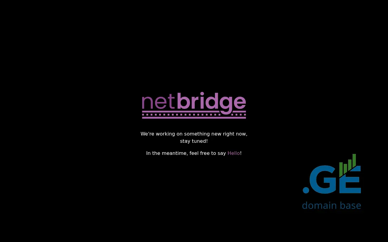 Screenshot of the site netbrid.ge
