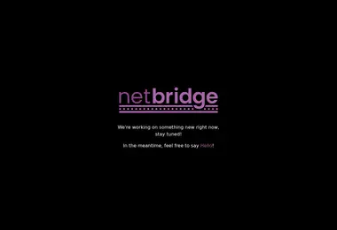Screenshot of netbrid.ge