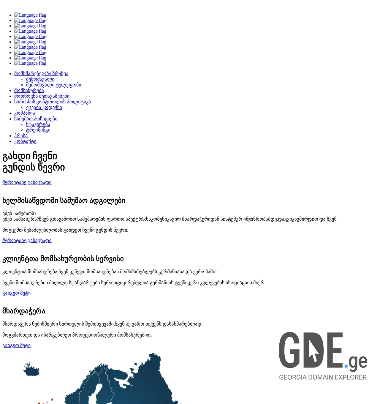 Screenshot of the site netex.ge at 2025-12-02