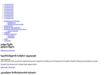 Скриншот netex.ge