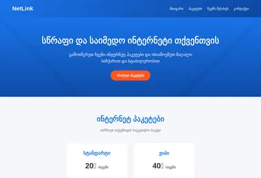 Screenshot of netlink.ge