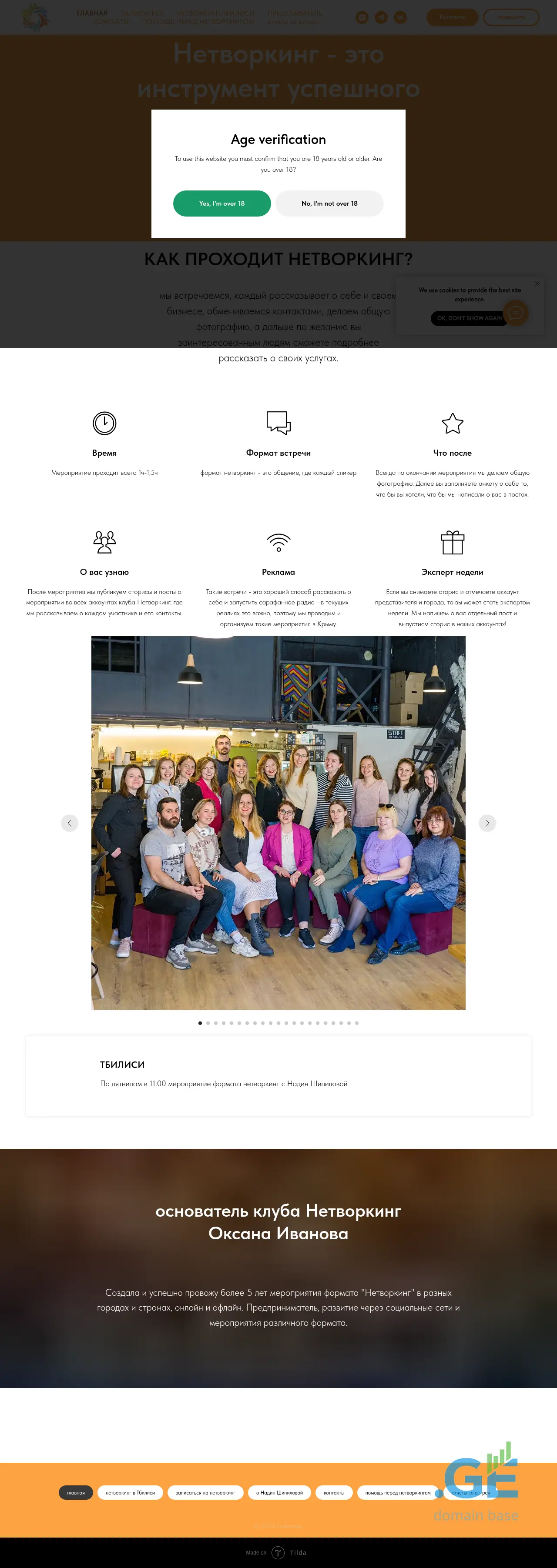 Screenshot of the site netvorking.ge at 2025-10-10