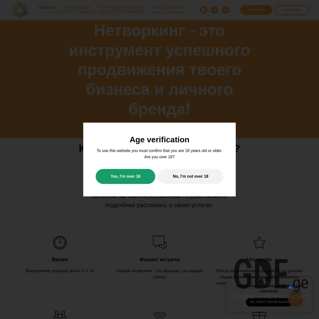 Screenshot of the site netvorking.ge at 2025-12-12