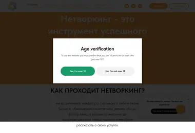 Screenshot of netvorking.ge