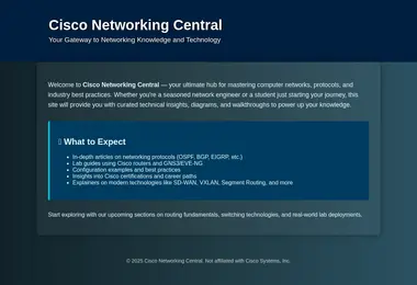 Скриншот networkers.ge