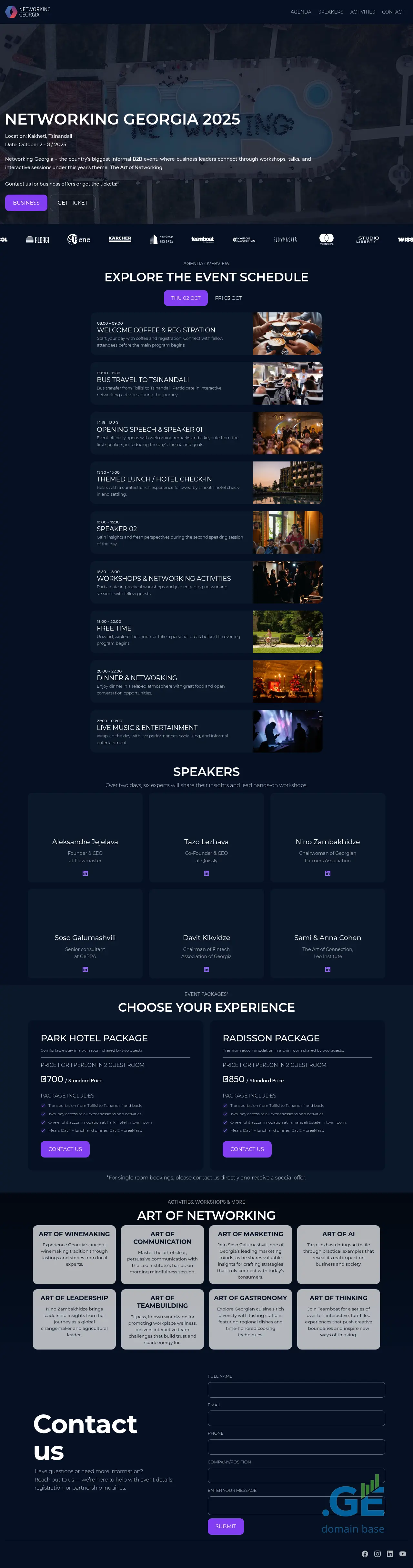Screenshot of the site networkinggeorgia.ge