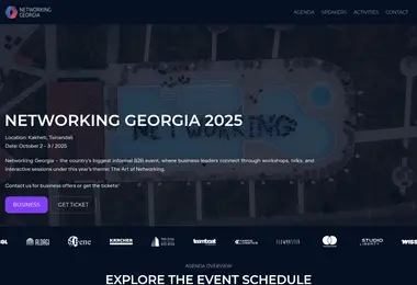 Screenshot of networkinggeorgia.ge