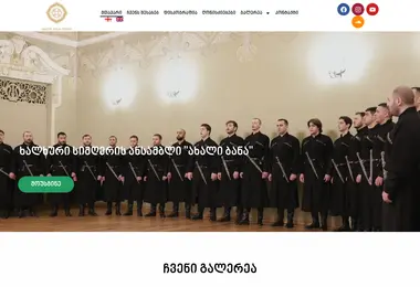 Screenshot of newbana.ge