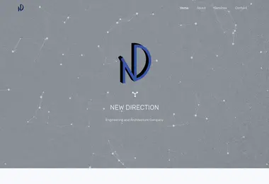 Screenshot of newdirection.ge