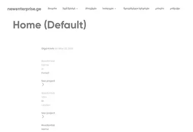 Screenshot of newenterprise.ge