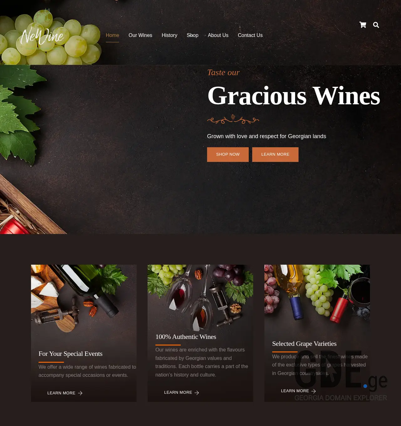 Screenshot of the site newine.ge at 2025-12-03