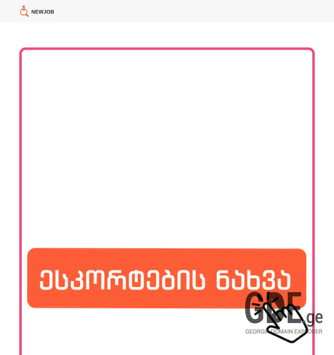 Screenshot of the site newjob.ge at 2025-12-03