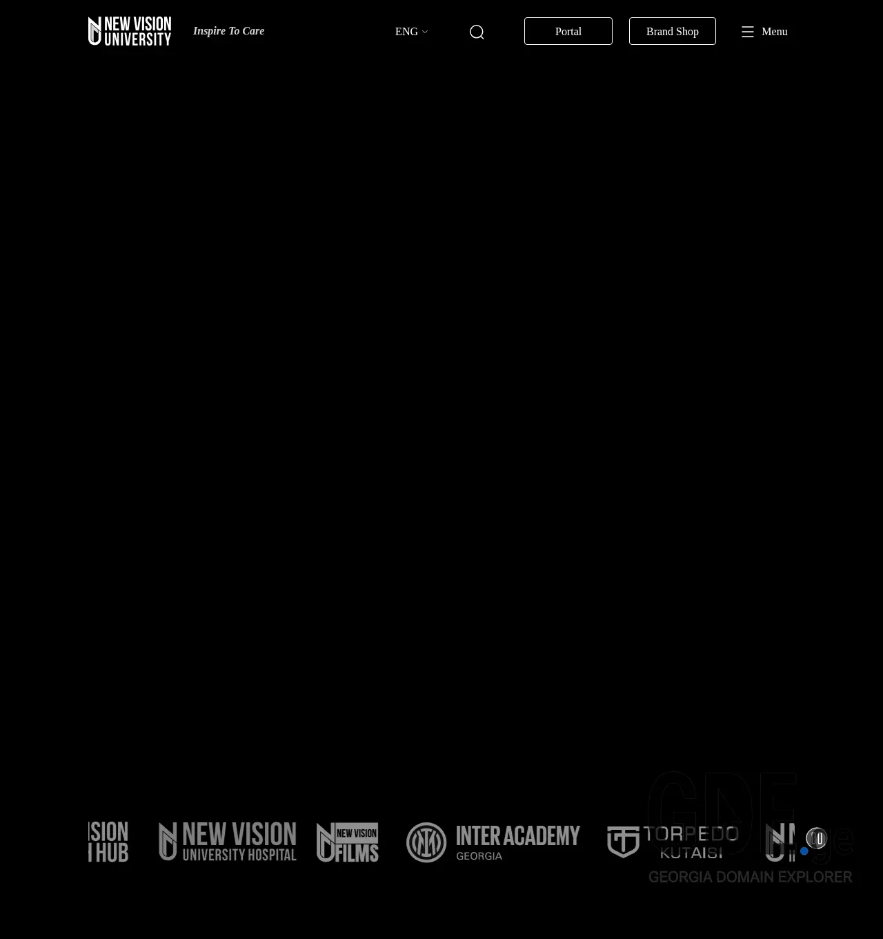 Screenshot of the site newvision.ge at 2025-12-01