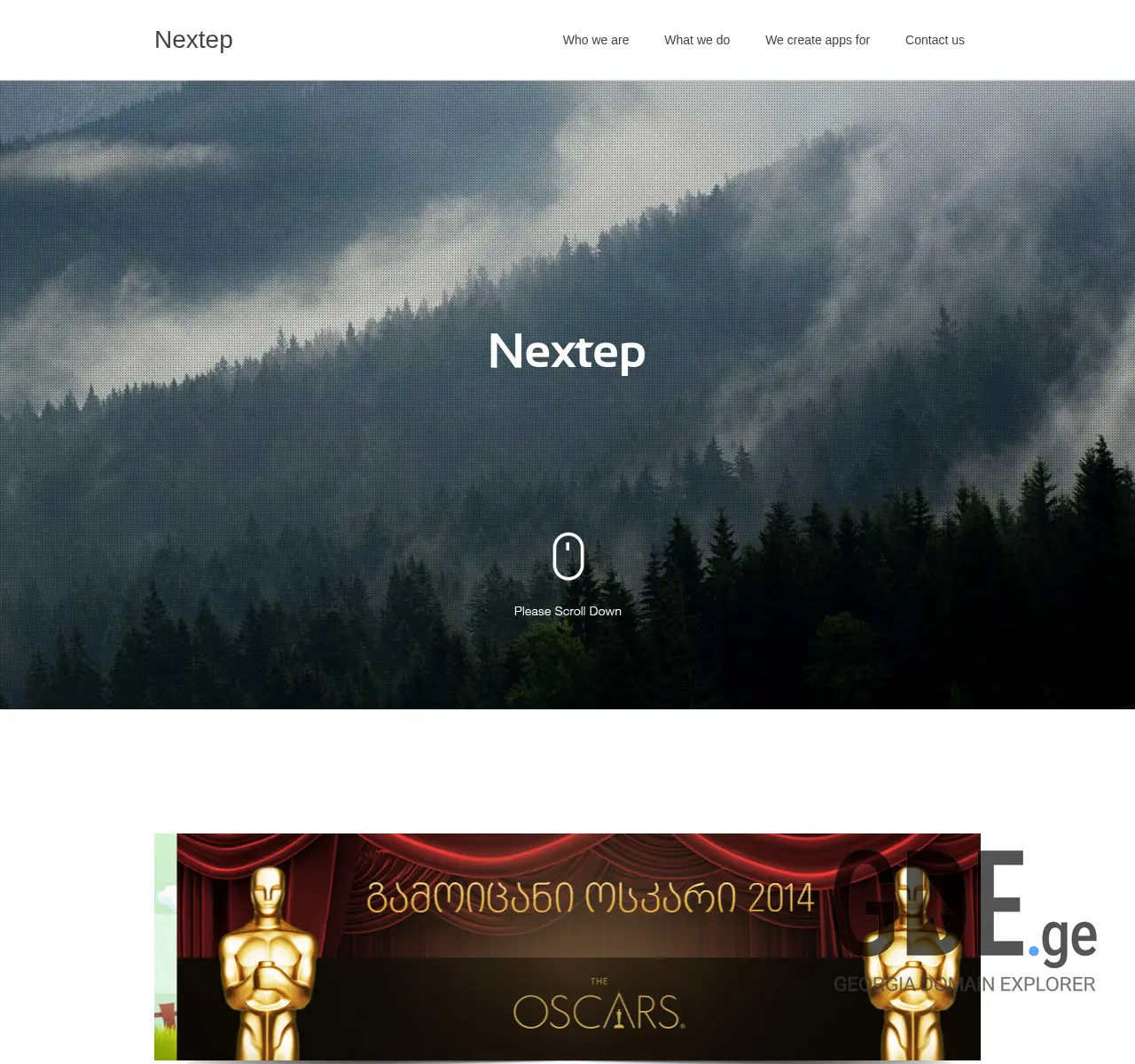Screenshot of the site nextep.ge at 2025-11-26