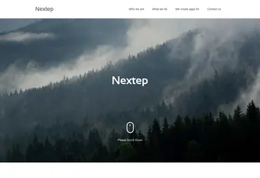 Screenshot of nextep.ge