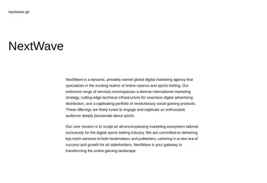 Screenshot of nextwave.ge