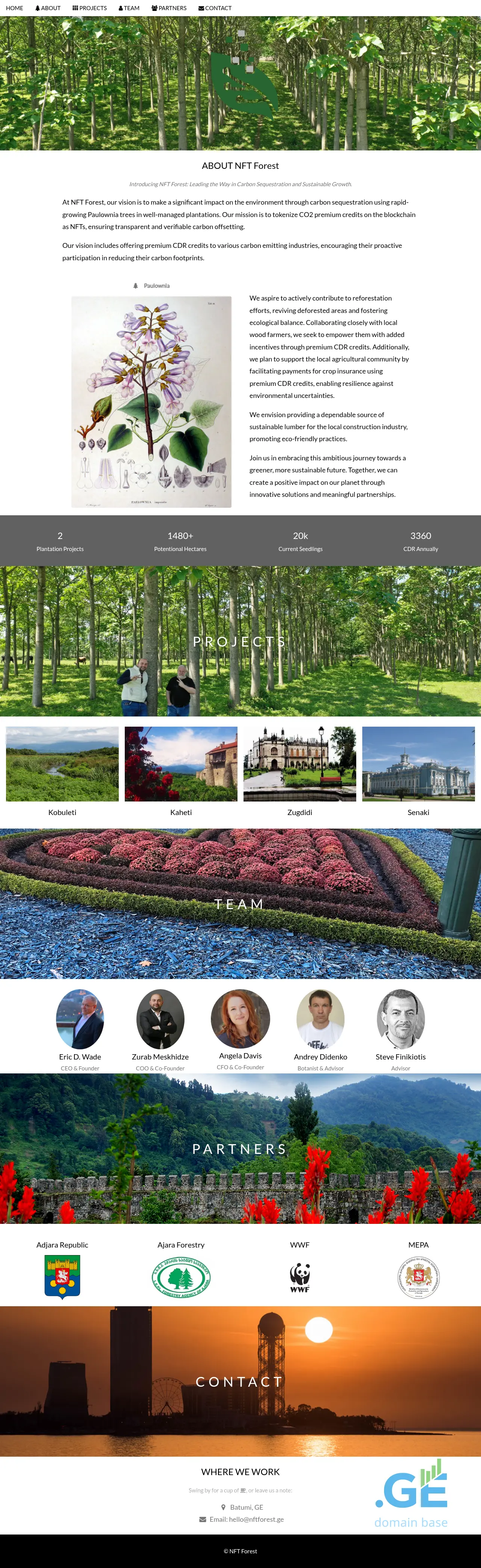 Screenshot of the site nftforest.ge