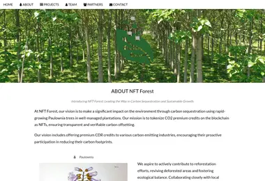 Скриншот nftforest.ge