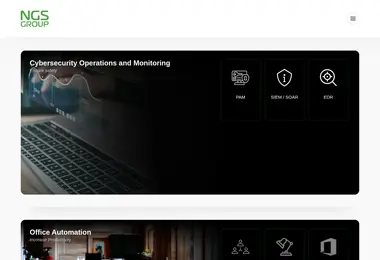 Скриншот ngsgroup.ge