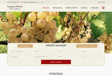 Screenshot of nikalasmarani.ge