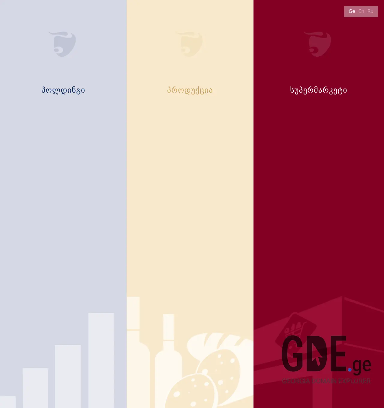 Screenshot of the site nikora.ge at 2025-11-29