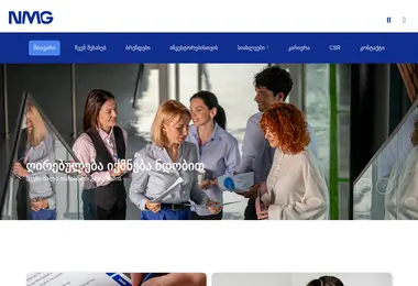 Screenshot of nikoragroupe.ge